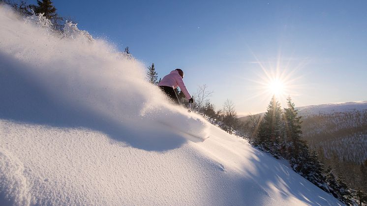 SkiStar är redo för en coronaanpassad vintersäsong: Öppnar samtliga destinationer innan jul