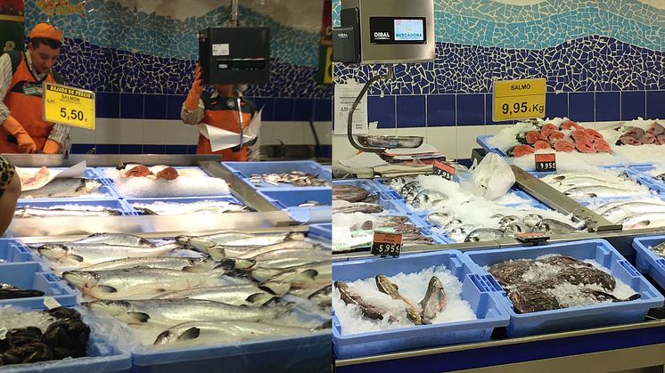 Mercadona-kjeden har 37 prosent markedsandel for laks i Spania. Bildene viser at laksens plass i fiskedisken er redusert i et av deres supermarkeder. Mens laksen ble solgt for 5,50 Euro i 2014 var prisen 9,95 Euro i 2016.