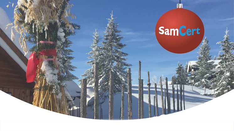 Julen stod för dörren och snön gnistrade när SamCert genomförde årets digitala  nätverksdagar. - Vi hade många bra samtal och diskussioner konstaterar VD Ann-Sofie Gustafsson som samtidigt passar på att önska God Jul och Gott Nytt År.