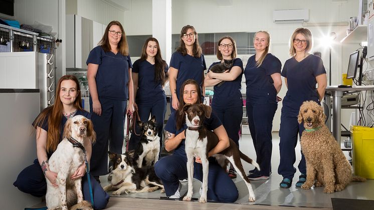 Alle veterinærer, dyrepleiere og assistenter blir med videre når klinikkene nå blir en del av veterinærkjeden Evidensia.