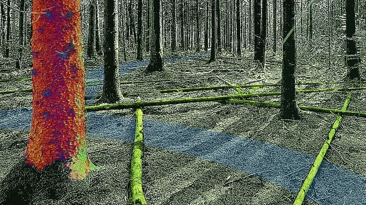 Virtuell skogsmiljö driven med fysikbaserad simulering. Illustration: Martin Servin