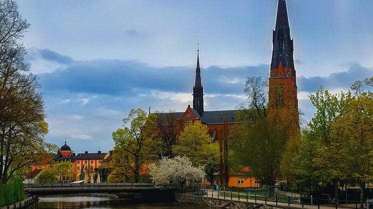 QD har skrivit ett historiskt avtal med Svenska Kyrkan och fortsätter sin kraftiga tillväxt