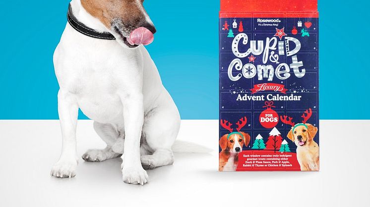 Cupid & Comet julekalender til hund