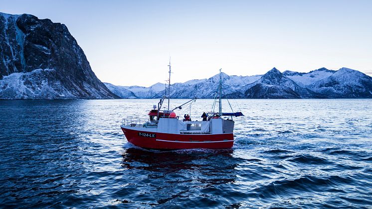 ​Rolig start på torskeeksporten i 2015