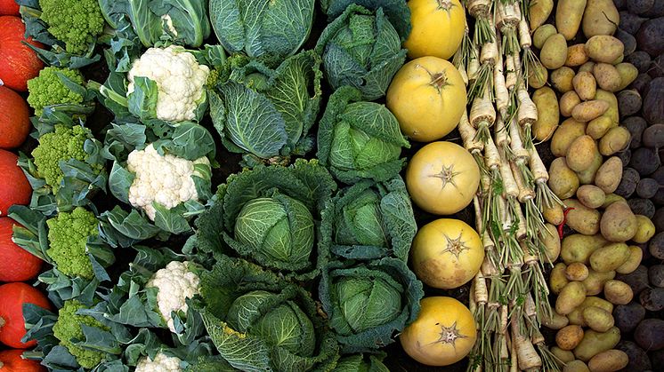 Konsumtionen av frukt och grönt ökar i Sverige. Det skapar möjligheter för svenska odlare och för den svenska trädgårdsnäringen.. Foto:Pixabay
