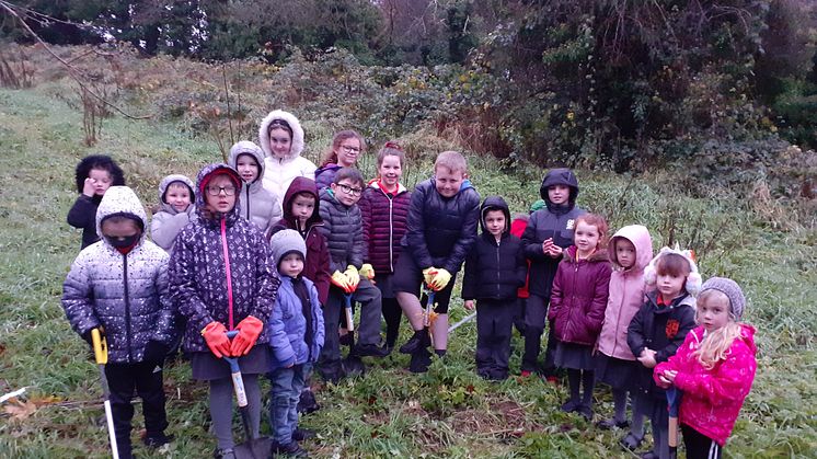 Pupils from Oakfield PS and Acorn IPS enjoying the tree planting with Woodland Trust representatives