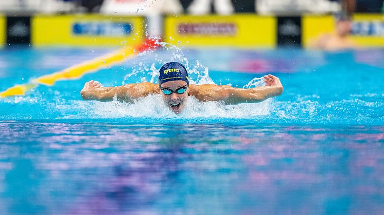 Välkommen på pressträffar med simlandslaget inför EM i Rom
