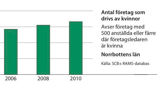 Kvinnors företagande ökar i Norrbottens och Västerbottens län