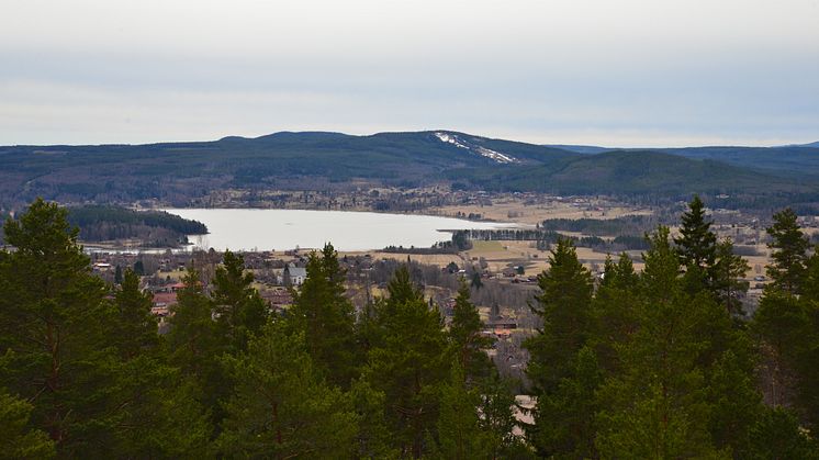 Vacker utsikt  från Siljansnäs. Här finns ett av Dalarnas 300 naturreservat. Foto: Länsstyrelsen i Dalarnas län.   