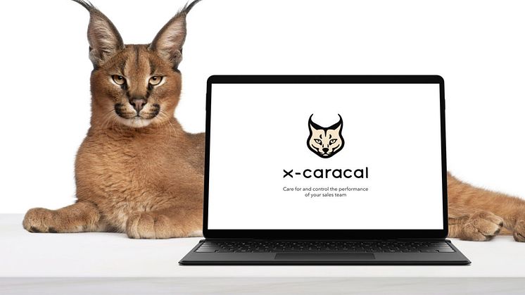 Improve Your Customer Journey and Contact Center Operations with x-caracal