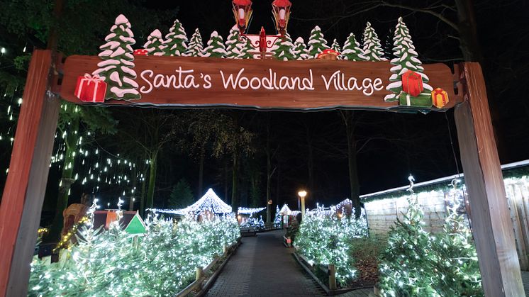 Santa's Woodland Village (photo credit Dynamic Aperture).jpg