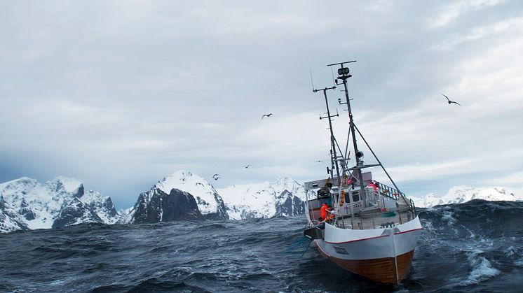 Hvordan skal Norge vinne torskemarkedet i 2021? 