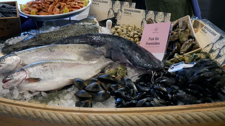 Nordic Seafood Summit bjuder bland mycket annat på ett politikerpass med högaktuella diskussioner kring livsmedelsberedskap och hur såväl produktion som konsumtion av svensk sjömat kan öka.