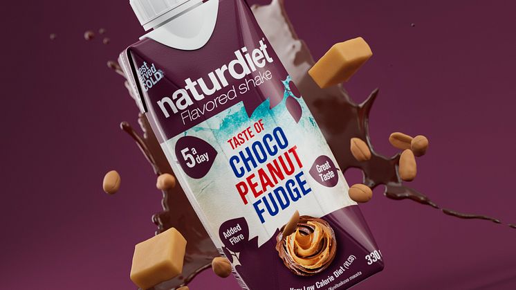 Naturdiet Choco Peanut Fudge shake