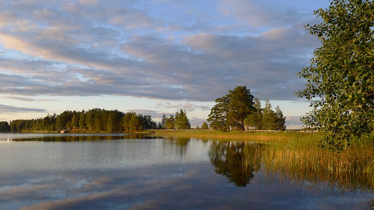 Sjön Öjaren i Sandviken. Foto: Johan Strandberg