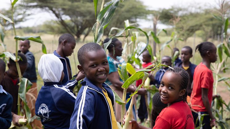 Biodynamischer Schulgarten einer Schule in Mbagathi, Kenia (Foto: Lin Bautze)