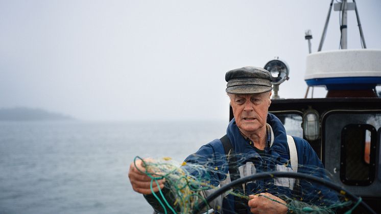 I filmerna som Visa har producerat får tittarna följa Rune Wikström som driver Wikströms Fisk ute på Möja. Tack vare samarbetet med Visa kan han ta betalt för fisken på ett smidigare och enklare sätt.