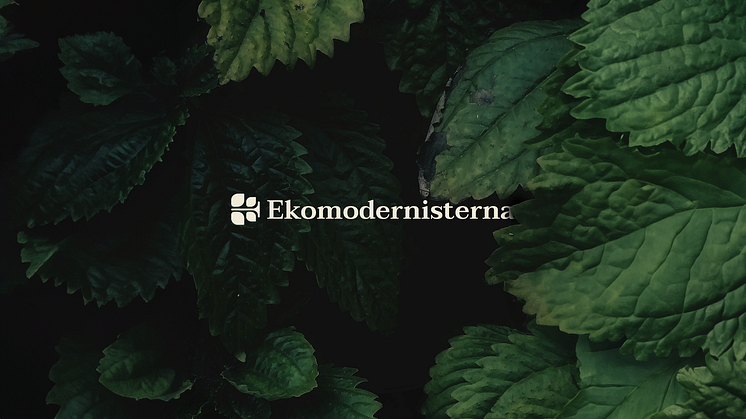 Ekomodernisterna presenterar: En eftermiddag med miljöfokus i Almedalen
