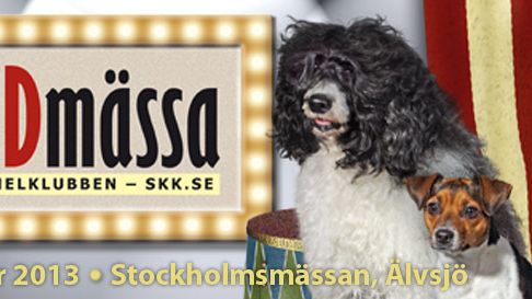 Välkommen till Stockholm Hundmässa!