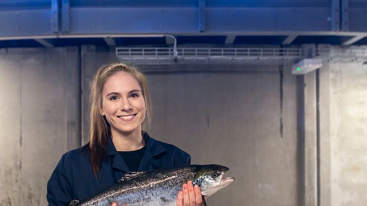 Fredrikstad Seafoods forlenger avtalen med BioMar