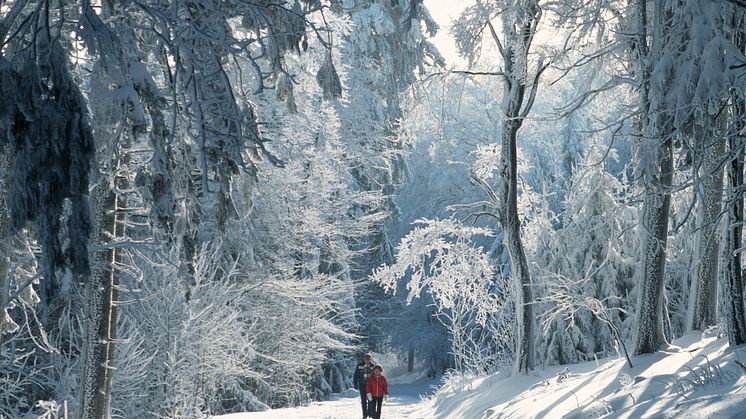 Feldberg im Taunus: Spaziergänger im Schnee © DZT e.V. F: Foto-Design Ernst Wrba