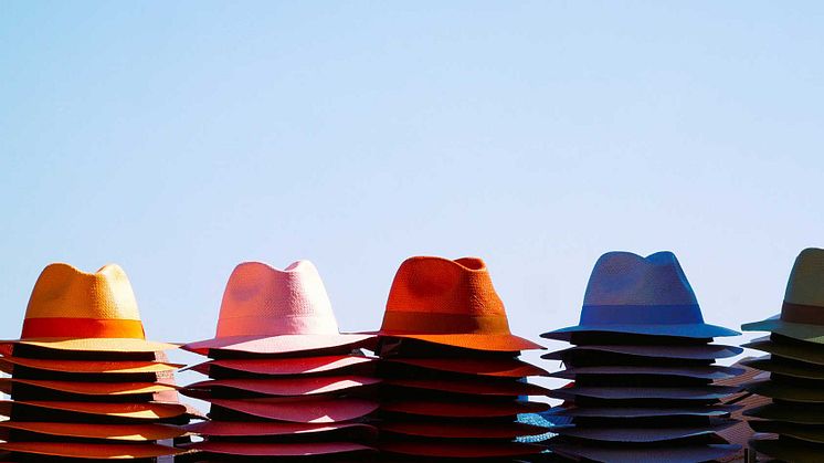 Verksamhetsutvecklare - Vilka hattar har du? Är det någon du saknar eller vill putsa upp?