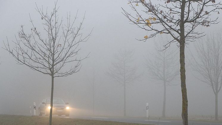 Die Benutzung von Nebelscheinwerfern ist reglementiert. Foto: ARCD