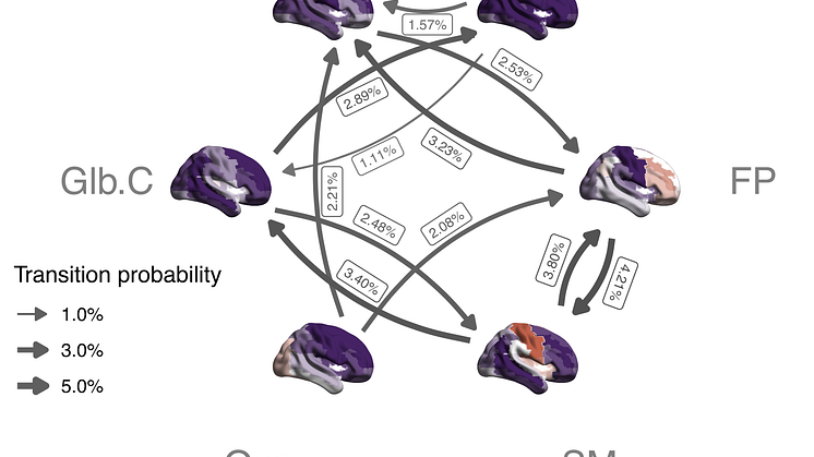 A typical pattern of transitions between the six brain states identified in the study
