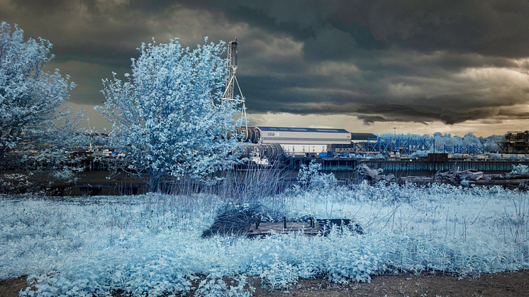 One of the photos from the Renewable Blue art project, taken using a specialised infrared camera.