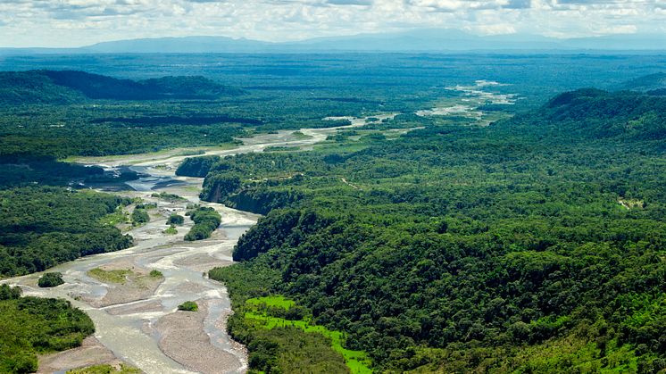 Pastaza-floden i Amazonas. I 2019 har der været mere end 90.000 tilfælde af skovbrande i Amazonas. Foto: Shutterstock