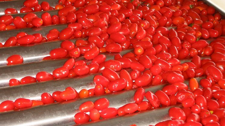 Italienska tomater
