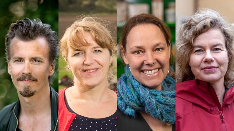 Paul Svensson, Helena Allard, Charlotta Szczepanowski och Jenny Jewert är juryn för Årets klimatbonde 2022