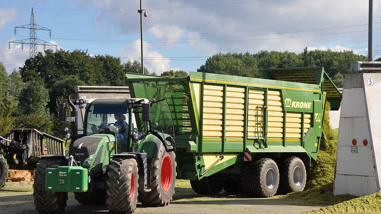 Maisernte für Biogasanlage von Energieservice Westfalen Weser in Hessisch Oldendorf beginnt