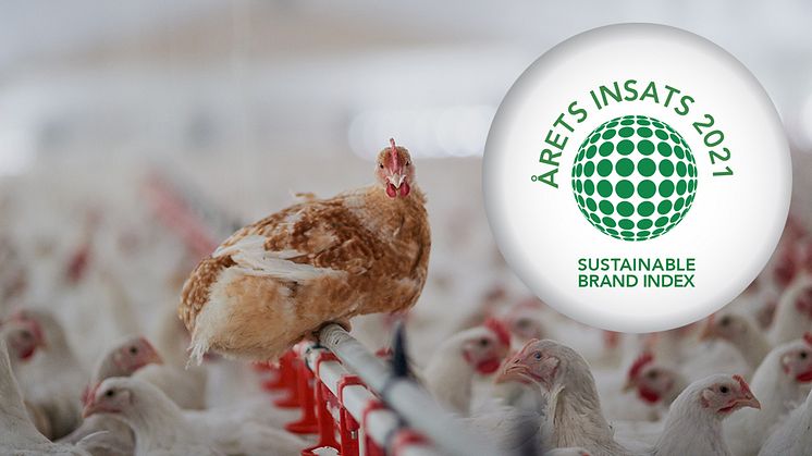 Today, more antibiotics are given globally to healthy animals than to sick people. This week, Axfoundation's Antibiotic Criteria for the food industry received an award for the efforts to reduce the use of antibiotics in food production.