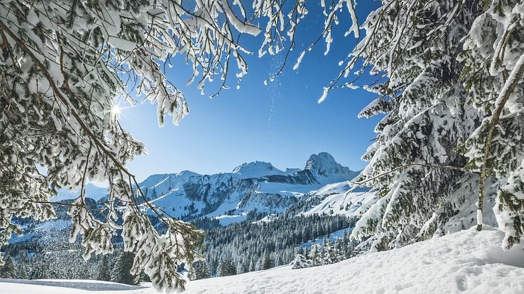 Verschneite Landschaft auf dem Gurnigel und Gantrisch im Berner Oberland © Switzerland Tourism / Jan Geerk