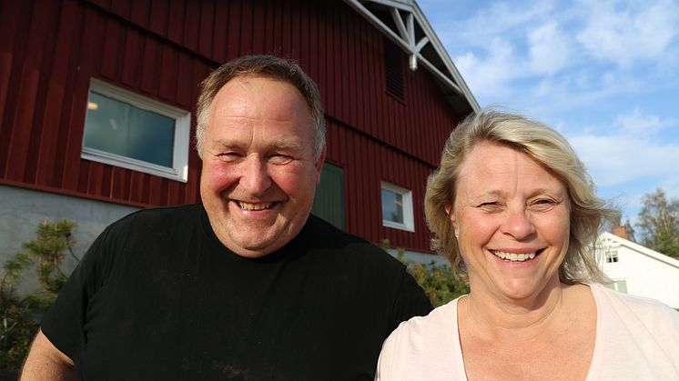 Olav og Hanne Vold har landets beste besetning med purker, basert på Ingris-data for 2022. Foto: Norsvin.