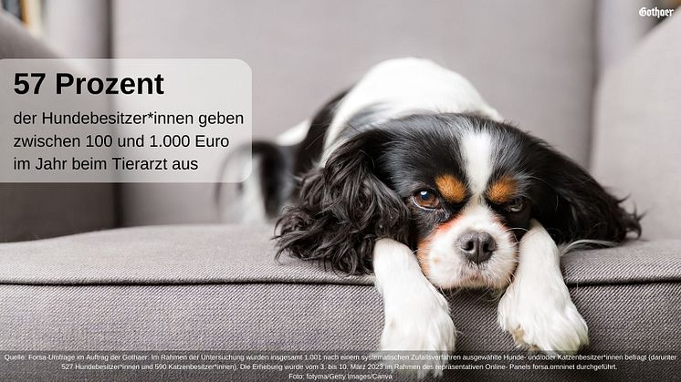 Gothaer Studie: 84 Prozent der Hundebesitzer*innen gehen regelmäßig zum Tierarzt