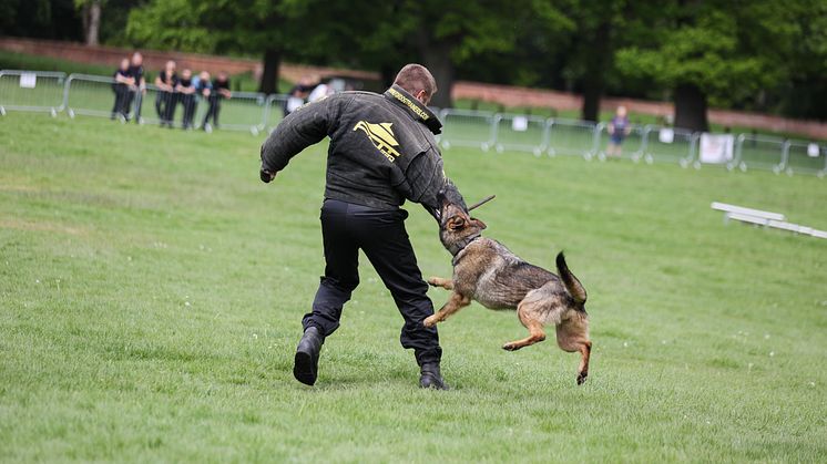 2023 Champion PD Belle from Avon and Somerset Police