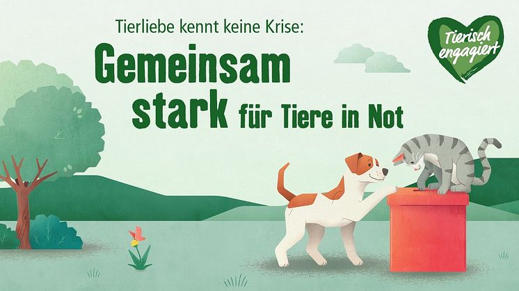 Große Hilfswelle nach Katzen-Tragödie: Fressnapf-Märkte im Saarland sammeln Futter, Zubehör und Spenden für über 50 gerettete Katzen