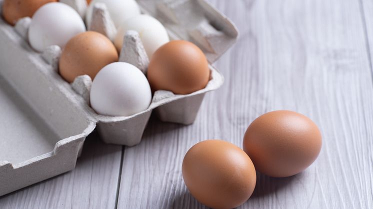 Rinnande, löskokt, mjukkokt, hårdkokt – hur vill du ha ditt ägg? Vi har tiderna för att du ska kunna koka ditt drömägg!