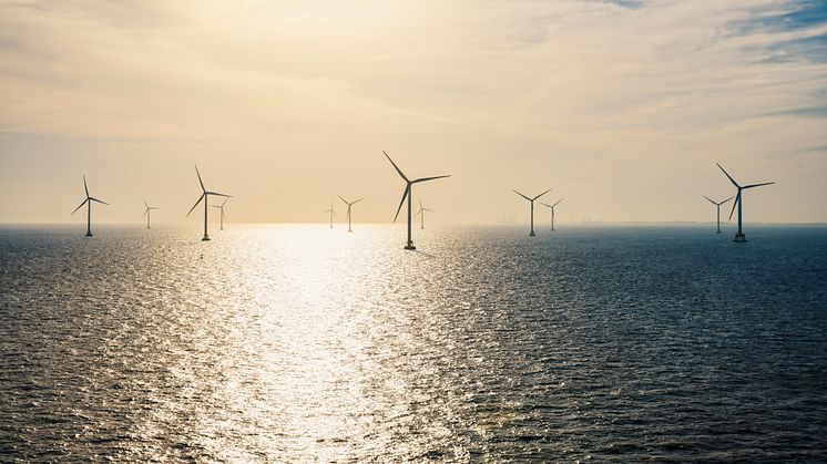 A genre photo of an offshore wind farm. Photo: Getty Images.