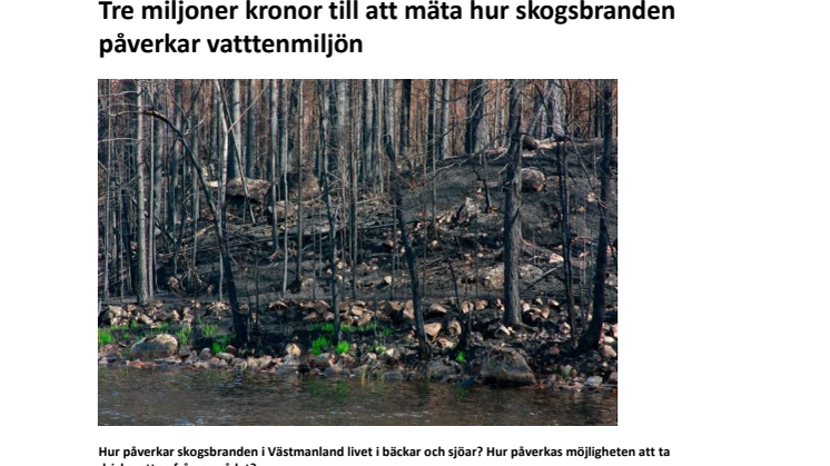 Pressmeddelande: Tre miljoner kronor till att mäta hur skogsbranden påverkar vattenmiljön