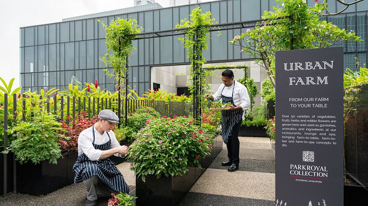 12. Urban Farm features over 50 varieties of fruits, herbs and edible flowers that bring farm-to-table, farm-to-bar and farm-to-spa concepts to life