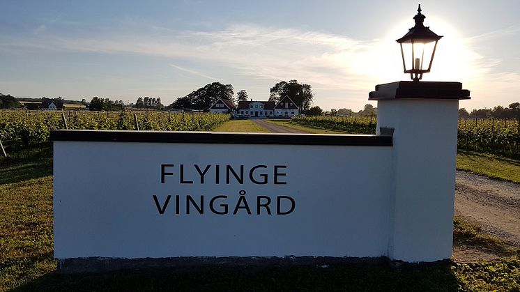 Flyinge vingård strax utanför Lund är ett av besöksmålen när Grand Hotel arrangerar vinresor i Skåne.