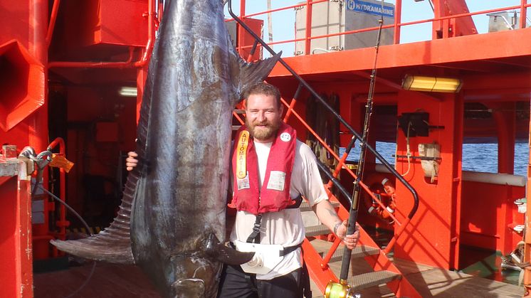 3,38 meter blue marlin og en noget kortere, men stolt fisker Mikkel Hansen på ’Esvagt Connector’.