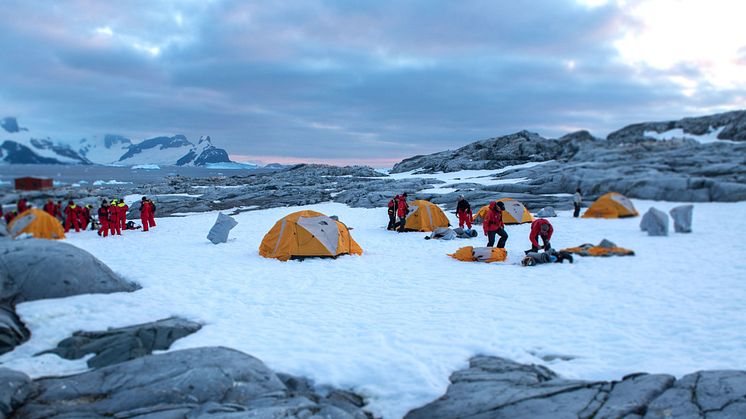 Camping at the Petermann Island, Antarctica