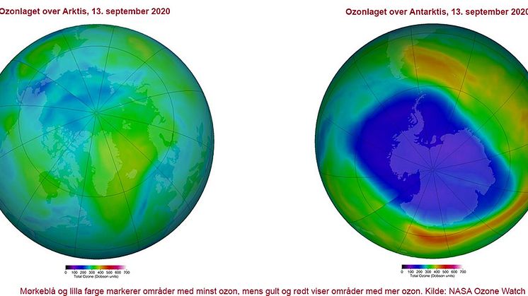 Slik så ozonlaget over henholdsvis Arktis og Antarktis ut 13. september i år. Foto: NASA Ozone Watch, https://ozonewatch.gsfc.nasa.gov/