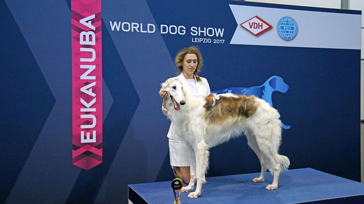 World Dog Show 2017 - German Junior Winner