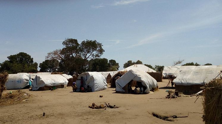 Bild från ett flyktingläger i Moçambique Foto: Justiça Ambiental
