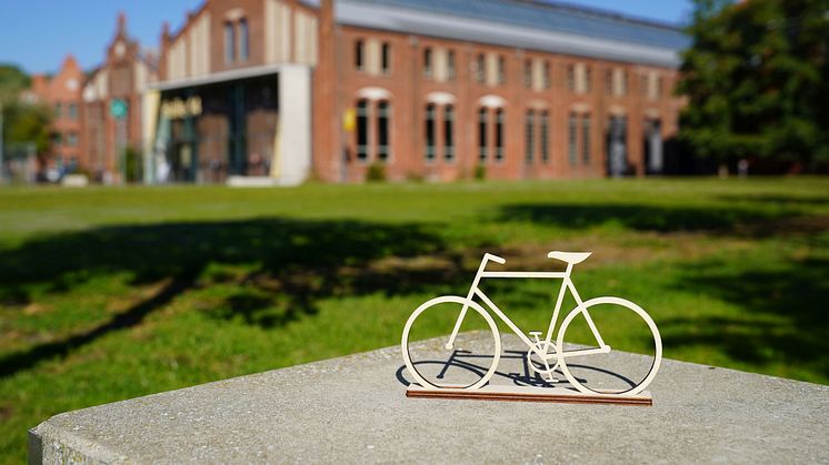 In dieser Woche erreicht die Sommerradtour der sieben Hochschulen, die vom Bundesverkehrsministerium geförderte Stiftungsprofessuren für den Radverkehr einrichten, den Campus der TH Wildau. (Bild: Mareike Rammelt)